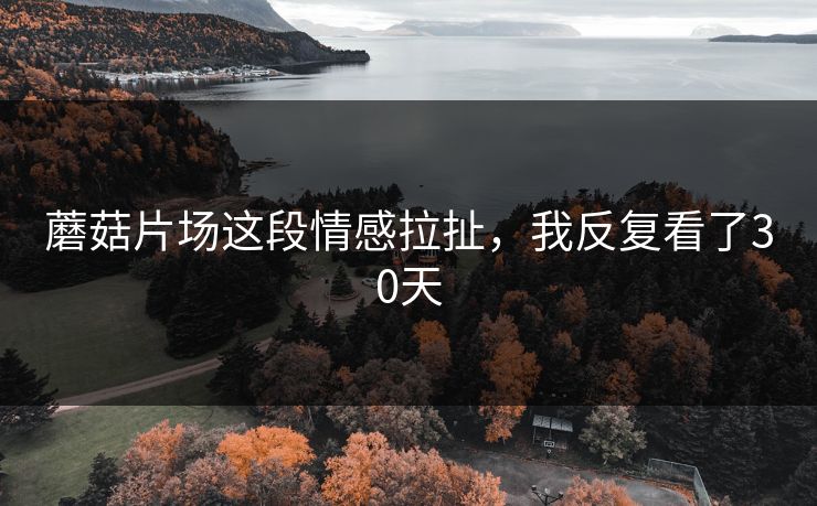 蘑菇片场这段情感拉扯，我反复看了30天
