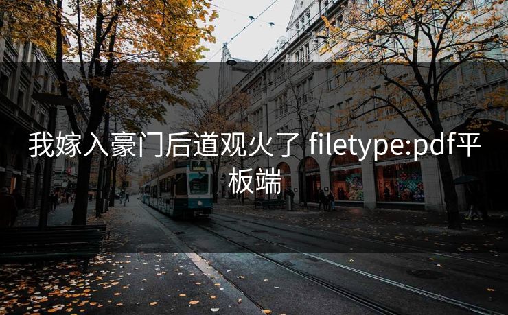 我嫁入豪门后道观火了 filetype:pdf平板端