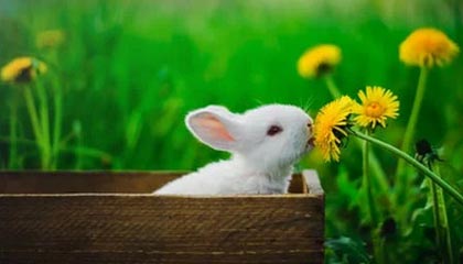 爆笑！热搜背后越看越不对劲，结局没人想到，热搜爆了是什么情况